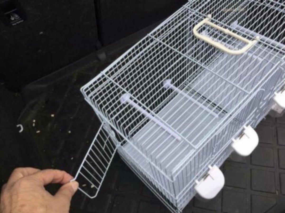 Birdtrade - kweekkooien - Broedkooien - Vogelkooi - twee vakken type 4500 thumbnail 4
