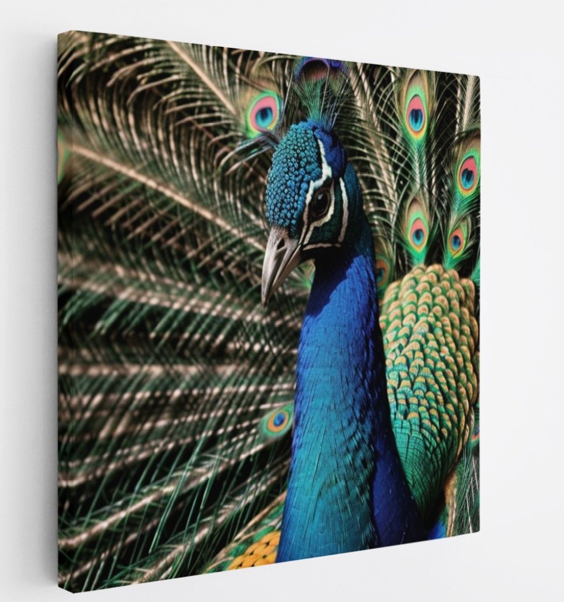 Saammp Canvas Schilderij - Pauw Close-up - Natuur - Dieren - 100x100 - Foto op canvas - Wanddecoratie - Muurdecoratie Woonkamer - Slaapkamer decoratie - Canvas Print Multicolor