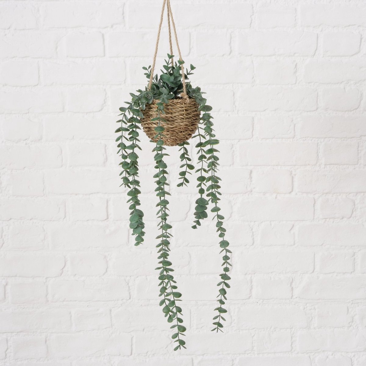 Boltze Home hangplant Eucalyptus