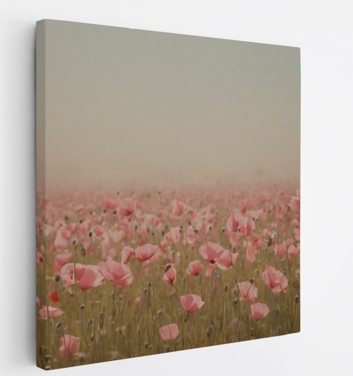 Saammp Canvas Schilderij - Mistig Bloemenveld - Natuur - Abstract - 60x60 - Foto op canvas - Wanddecoratie - Muurdecoratie Woonkamer - Kantoor Decoratie Multicolor