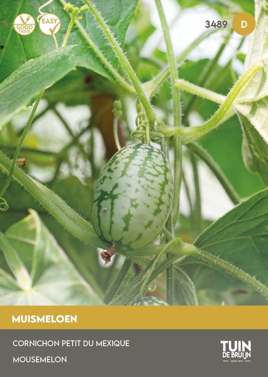 Tuin de Bruijn Muismeloen – 15 Zaden – Melothria scabra