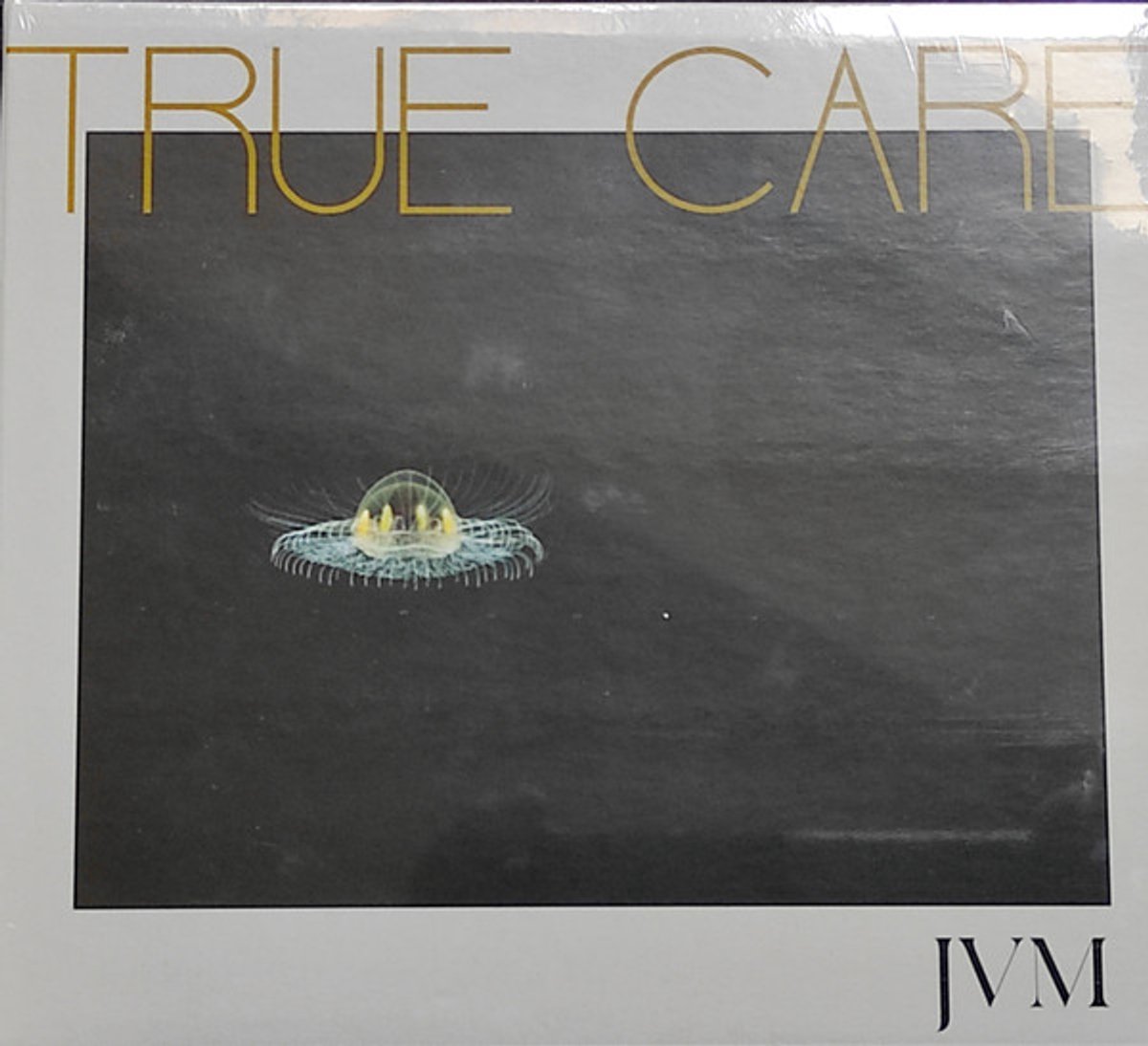 True Care