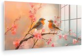 120 cm x 60 cm