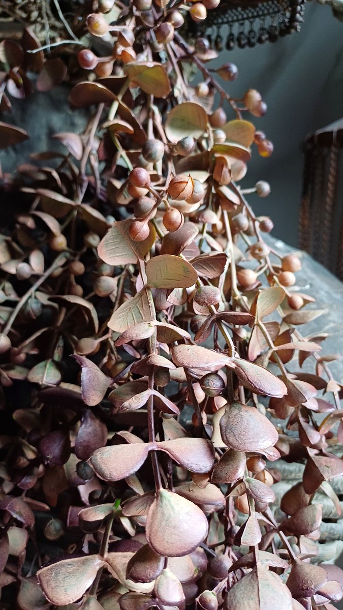 Kunsttak eucalyptus hangend mauve