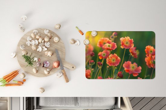 Placemats - 6 stuks - 45x30 cm - Placemat kunststof - Bloemenveld - Zonnestralen - Oranje - Borden onderleggers - Decoratie voor op tafel - Keuken tafeldecoratie accessoires - Vinyl onderlegger - Tafelversiering