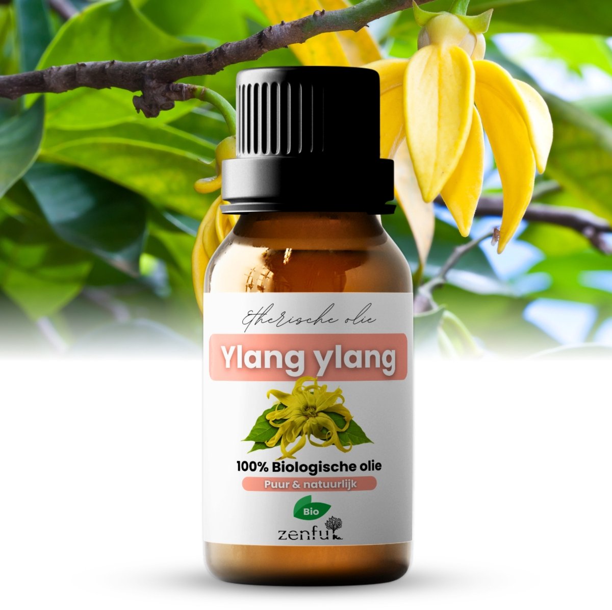Goedkoopste Ylang ylang olie - 100 Biologisch & puur - Natuurlijk - 10 ml