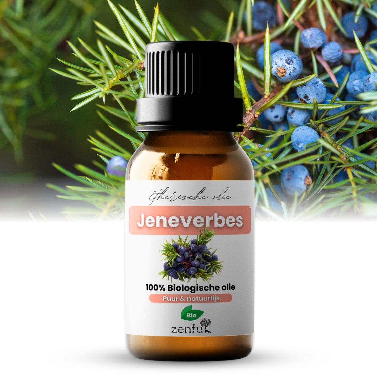 Goedkoopste Jeneverbes olie - Bes etherische olie - Puur, natuurlijk, biologisch - 10 ml