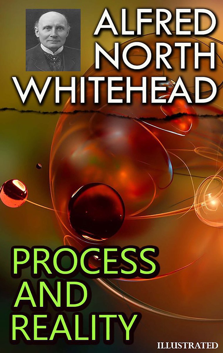 Omslag van Process and Reality. Illustrated