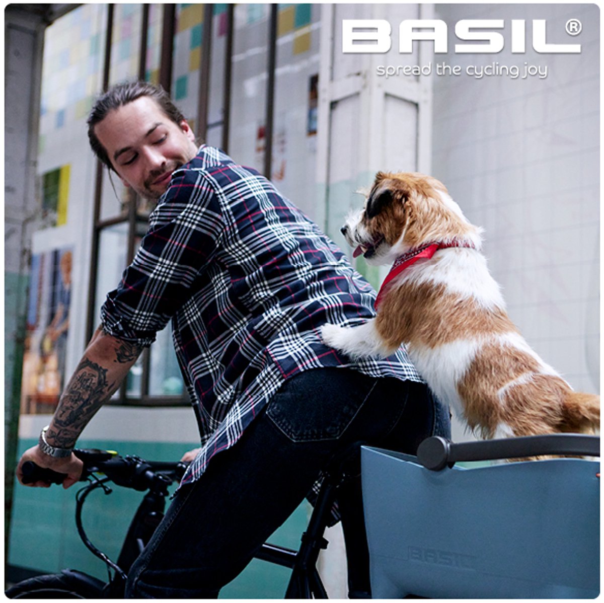 Dog bike basket Basil Buddy Mik 2.0 | Vélo-Store
