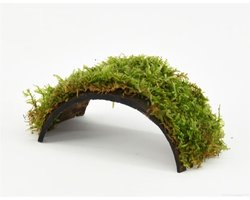 Moerings Cocosnoot armband met javamos Waterplant