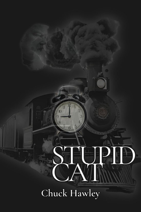 Stupid Cat - cover
