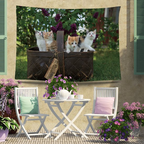 Ulticool - Chat Nature Chats dans un panier pour chat - Affiche murale - 200x150 cm - Groot tapisserie - Affiche de jardin Tapisserie