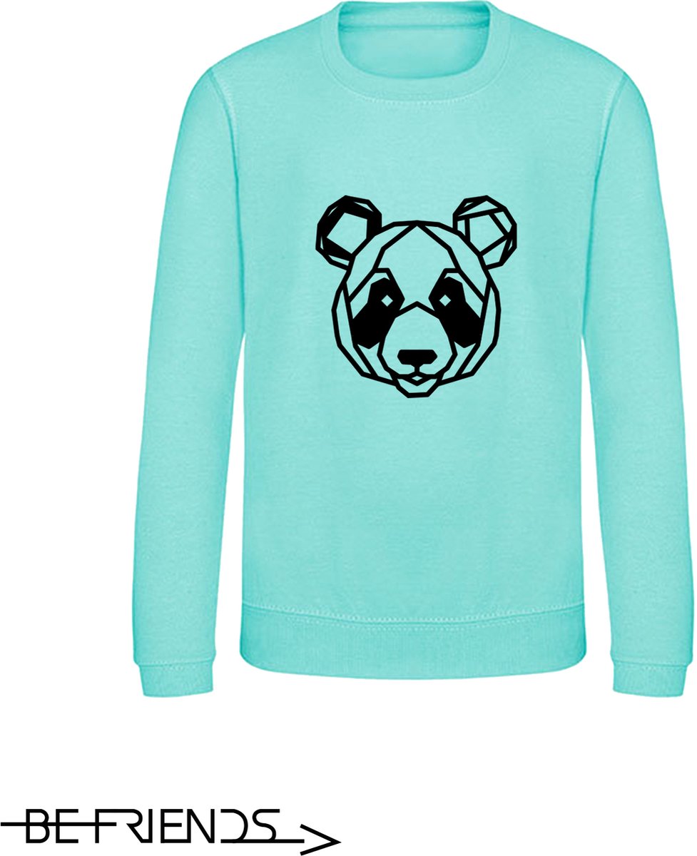 Be Friends Sweater - Panda - Dames - Mint groen - Maat M