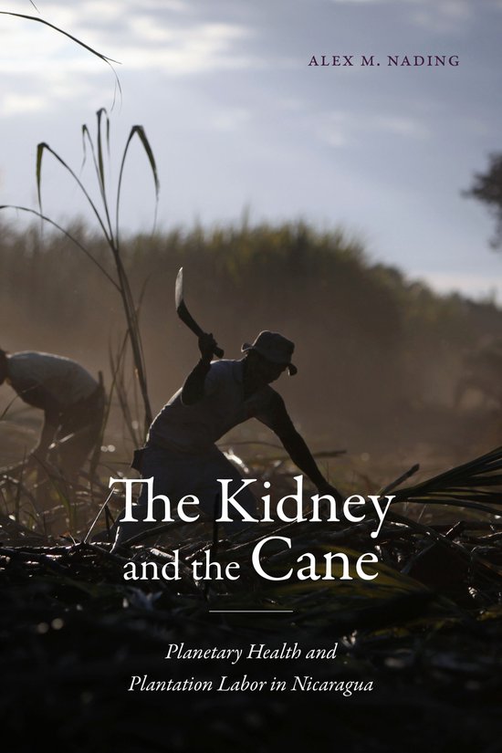 Critical Global Health: Evidence, Efficacy, Ethnography-The  ... - cover