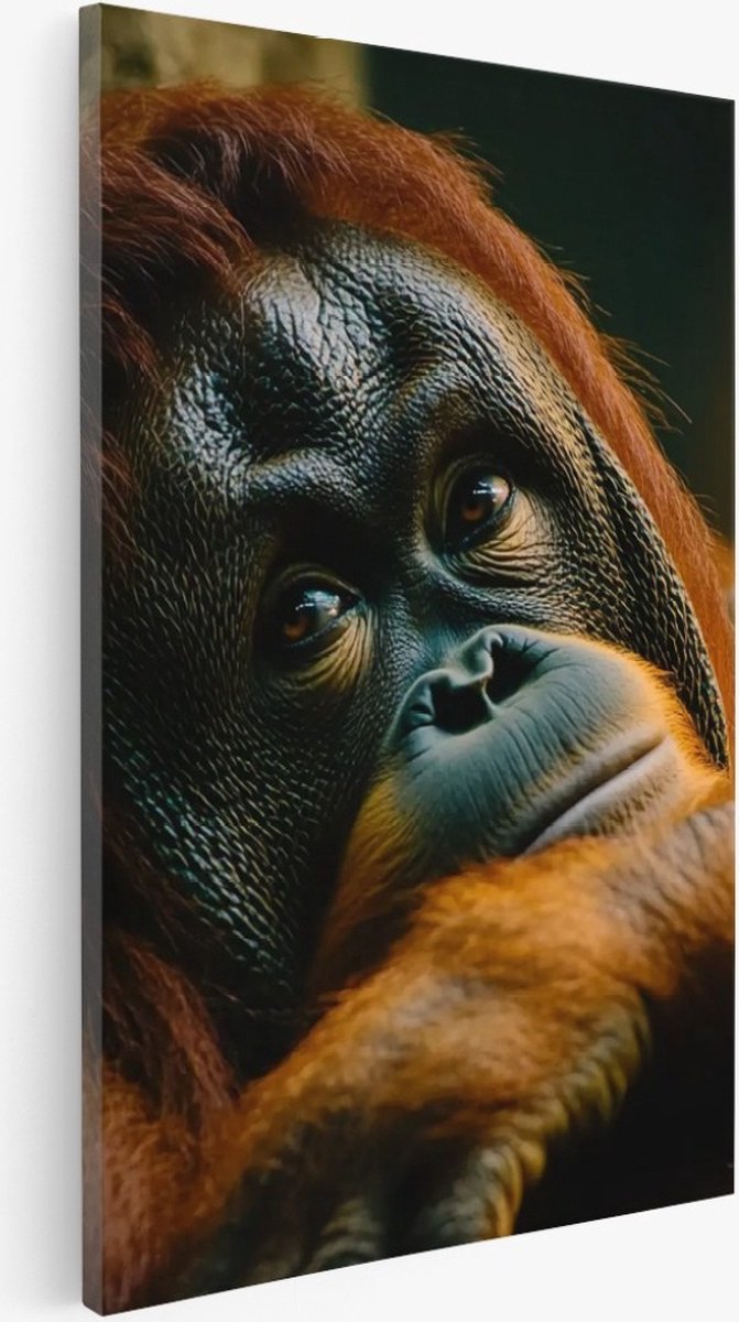 Saammp Canvas Schilderij - Orang oetan - Abstract - Dier - 20x30 - Foto op canvas - Wanddecoratie - Muurdecoratie Woonkamer - Slaapkamer decoratie - Canvas Print Multicolor