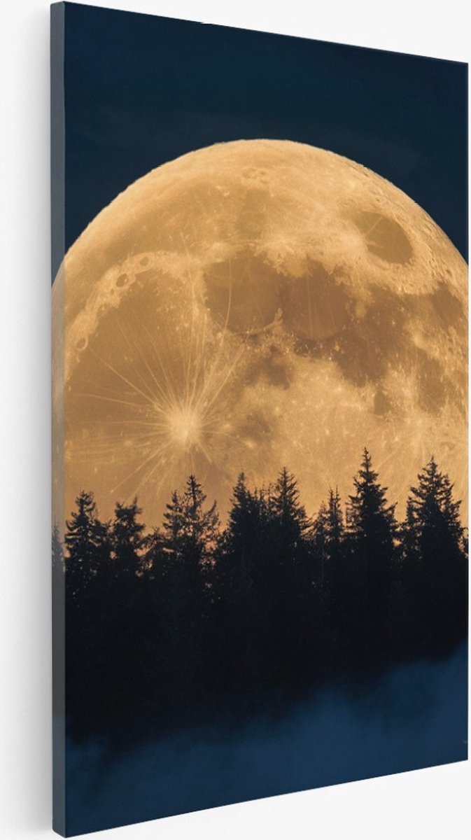 Saammp Canvas Schilderij - Maan met bos - Natuur - Landschap - 75x100 - Foto op canvas - Wanddecoratie - Muurdecoratie Woonkamer - Slaapkamer decoratie - Canvas Print Multicolor