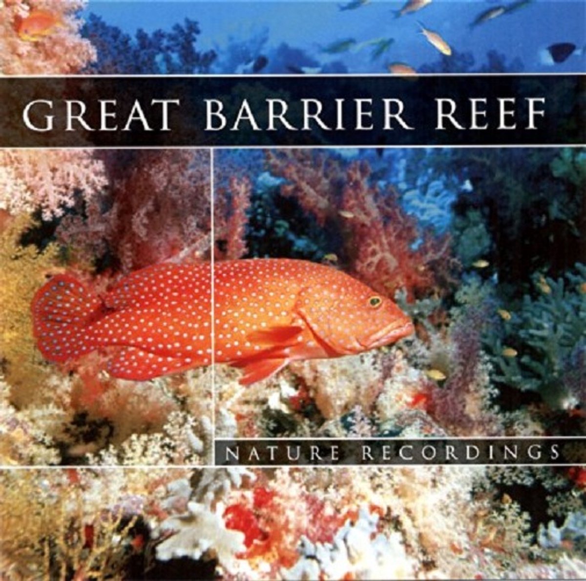 1-CD Various - Great Barrier Reef