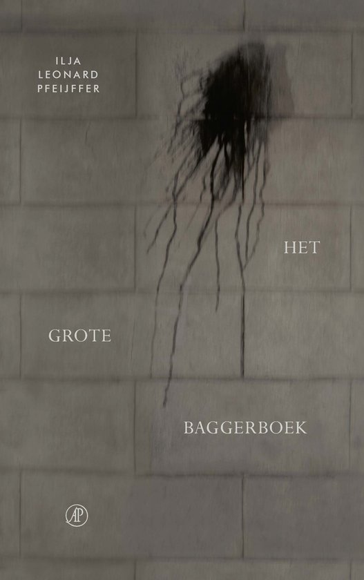 Het grote baggerboek