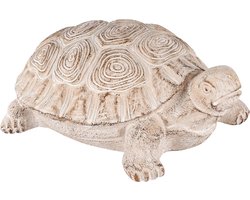 Dekoratief | Tuindeco schildpad, grijs, cement, 23x18x10cm | A250464