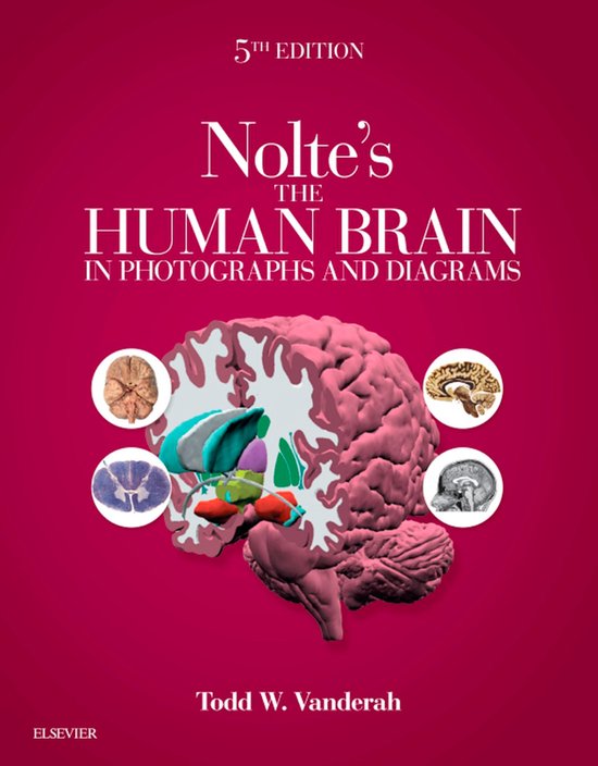 Nolte's The Human Brain in Photographs and Diagrams E-Book - cover