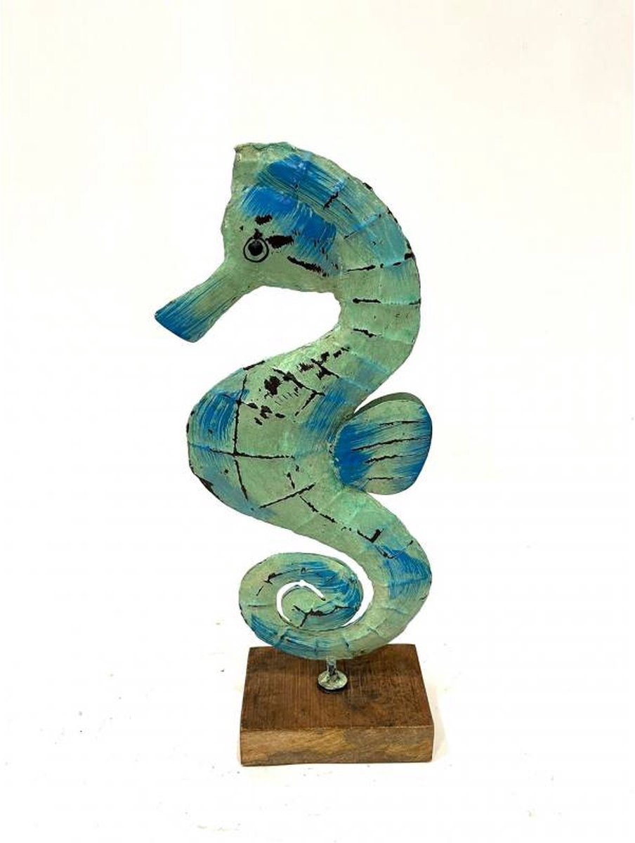 Seahorse Hippo S H47