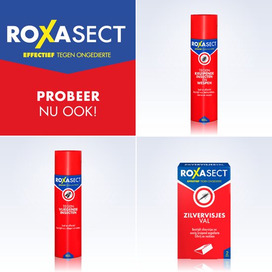 Roxasect Spray tegen Vlooien - Ongediertebestrijding - Vlooienspray voor in Huis - 300 ml