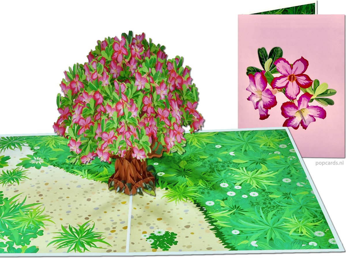 Vicloon 3D-Kaart, Wenskaarten met Envelop en Roze Kersenbloesem, Valentijnsdagkaart, Huwelijksuitnodiging, voor Verjaardag, Huwelijksverjaardag, Afstuderen, Valentijnsdag, Huwelijksgeschenken Vicloon 3D-Kaart, Wenskaarten met Envelop en Roze Kersenbloesem, Valentijnsdagkaart, Huwelijksuitnodiging, voor Verjaardag, Huwelijksverjaardag, Afstuderen, Valentijnsdag, Huwelijksgeschenken
