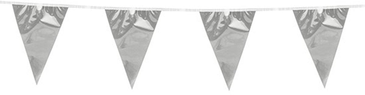 12x Vlaggenlijn Metallic Zilver 10 meter - Verjaardag Feest Party Festival Poolparty Decoratie