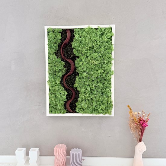 Mosschilderij - Rendiermos wanddecoratie- Mos wanddecoratie - Mos decoratie 30X40cm
