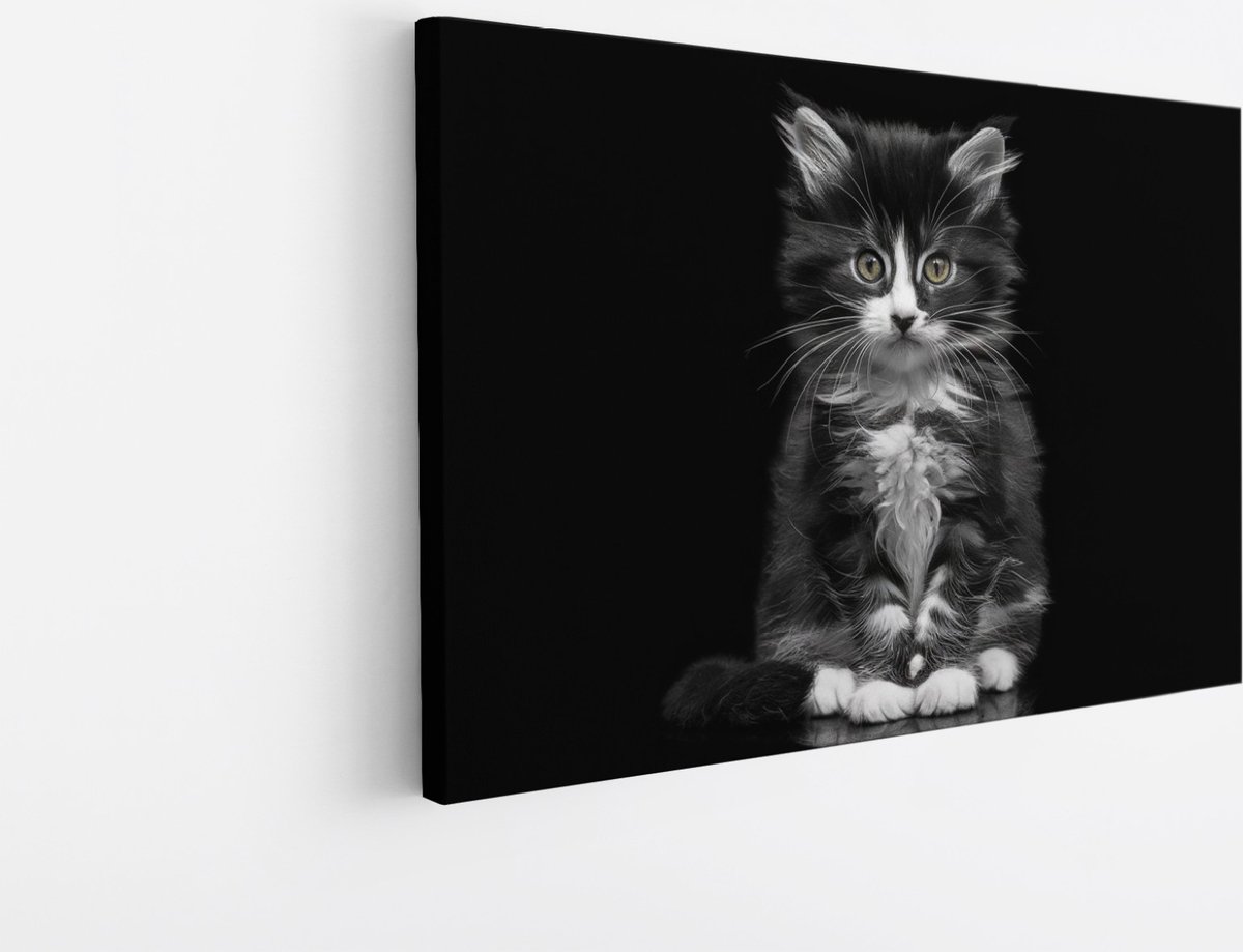 Saammp Canvas Schilderij - Kat - Portret - Dieren - 30x20 - Foto op canvas - Wanddecoratie - Muurdecoratie Woonkamer - Slaapkamer decoratie - Canvas Print Multicolor