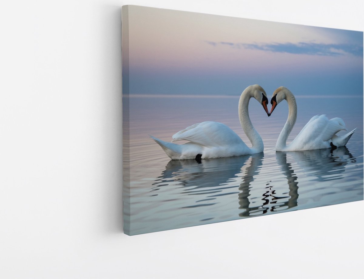 Saammp Canvas Schilderij - 2 Zwanen - Liefdevol - Natuur - Dieren - 40x30 - Foto op canvas - Wanddecoratie - Muurdecoratie Woonkamer - Slaapkamer decoratie - Canvas Print Multicolor