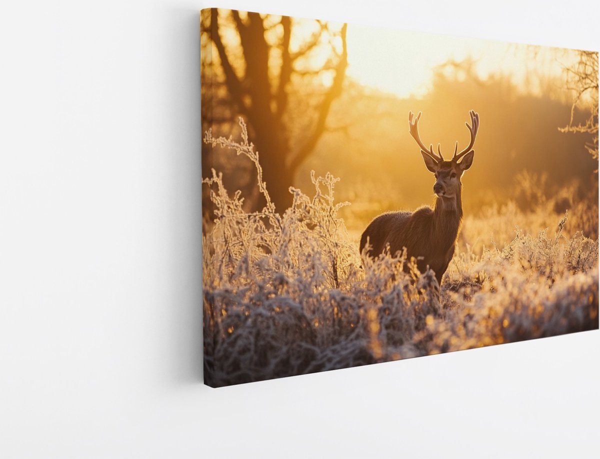 Saammp Canvas Schilderij - Natuur - Hert in wei - winter - Dieren - 50x40 - Foto op canvas - Wanddecoratie - Muurdecoratie Woonkamer - Slaapkamer decoratie - Canvas Print Multicolor