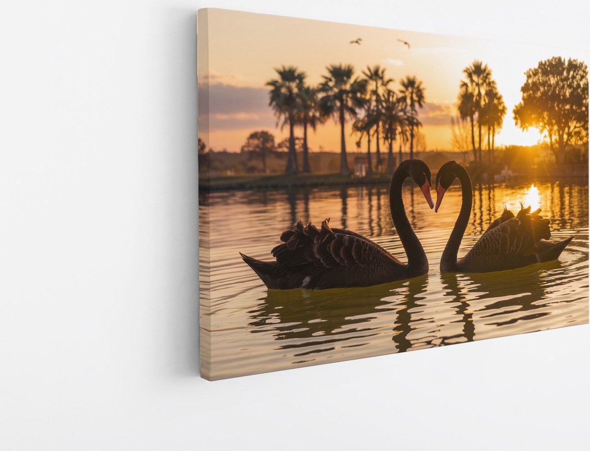 Saammp Canvas Schilderij - 2 Jonge Zwanen in zonsondergang - Natuur - Dieren - 90x60 - Foto op canvas - Wanddecoratie - Muurdecoratie Woonkamer - Slaapkamer decoratie - Canvas Print Multicolor
