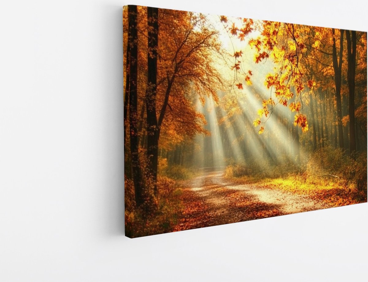 Saammp Canvas Schilderij - Botanisch - Zonneschijn - Herfstachtig - Landschap - Natuur - 40x30 - Foto op canvas - Wanddecoratie - Muurdecoratie Woonkamer - Slaapkamer decoratie - Canvas Print Multicolor