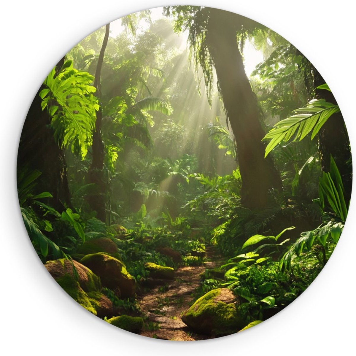 Saammp Forex Muurcirkel - Natuur - Jungle met zon - landschap - Ø 80 - Wandcirkel - Wanddecoratie Cirkel - Muurdecoratie Woonkamer - Slaapkamer decoratie - Rond Schilderij