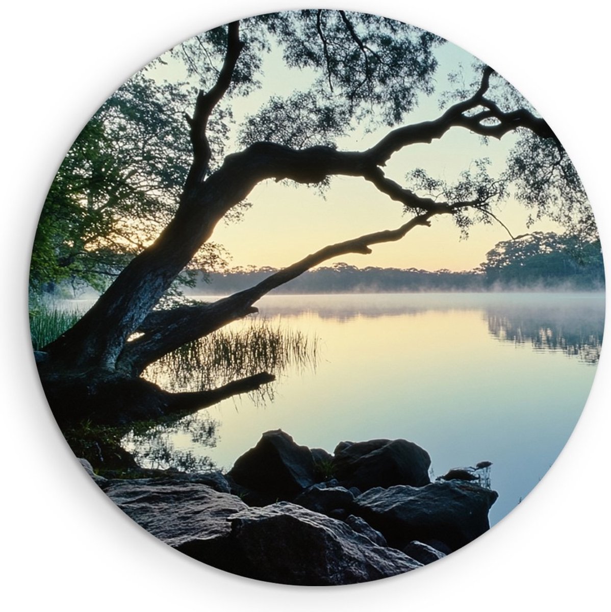 Saammp Forex Muurcirkel - Natuur - Scheve boom bij het water - landschap - Ø 80 - Wandcirkel - Wanddecoratie Cirkel - Muurdecoratie Woonkamer - Slaapkamer decoratie - Rond Schilderij