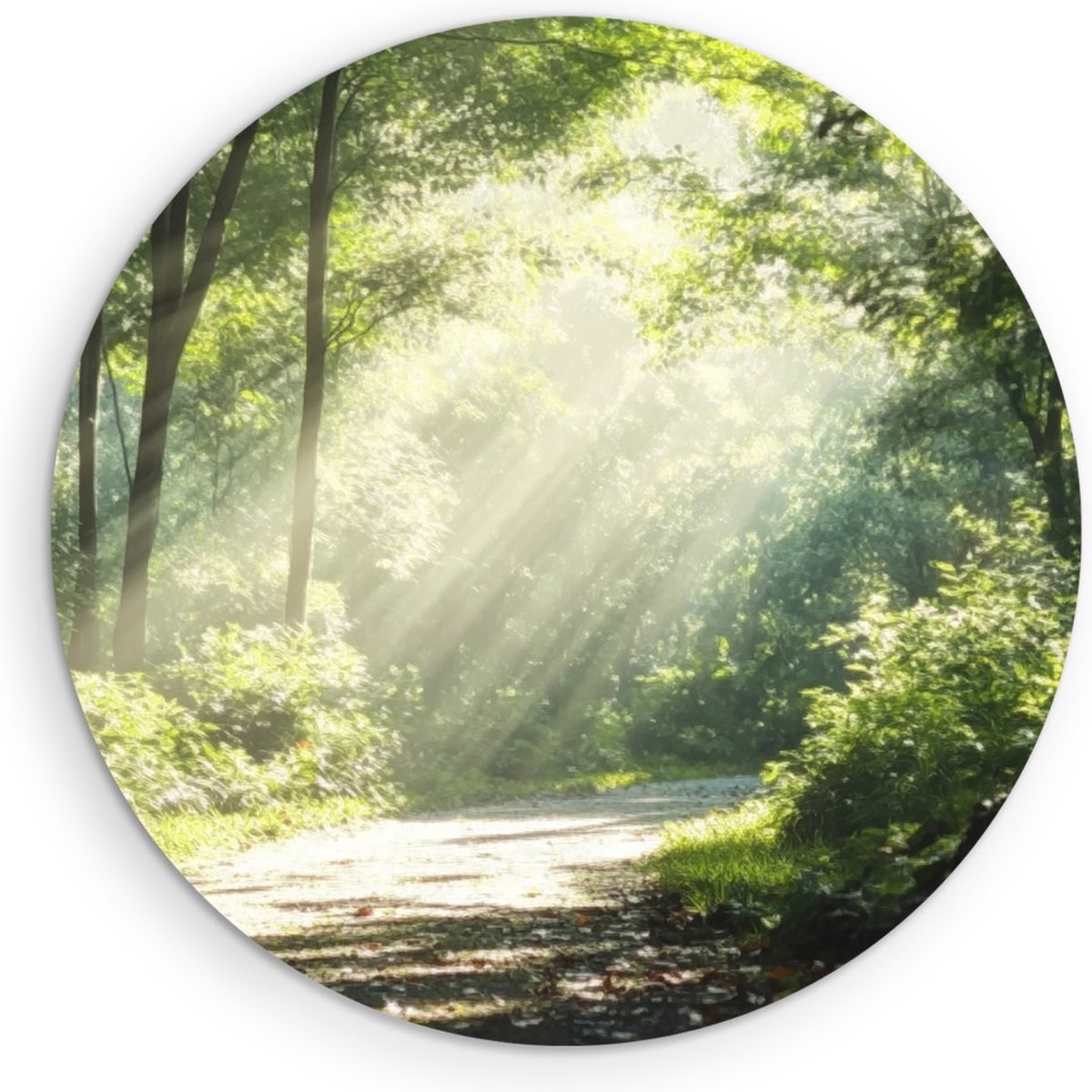 Saammp Forex Muurcirkel - Bos - Bomen - Pad - Natuur - Landschap - Ø 90 - Wandcirkel - Wanddecoratie Cirkel - Muurdecoratie Woonkamer - Slaapkamer decoratie - Rond Schilderij