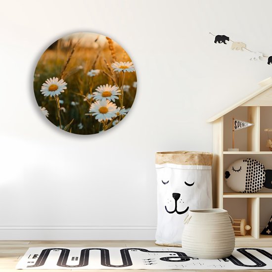 Saammp Cercle Mural Bois - Nature - Marguerite - paysage - Ø 30 - Cercle Mural - Décoration murale Décoration murale Salon - Décoration Chambre - Tableau Rond