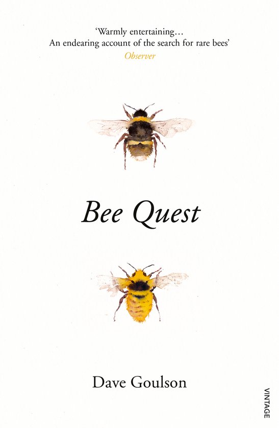 Bee Quest - cover