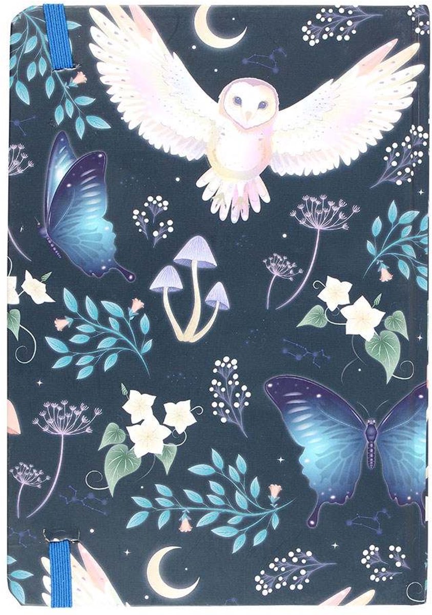 Something Different - Night Flight Owl A5 Notitieboek - Multicolours