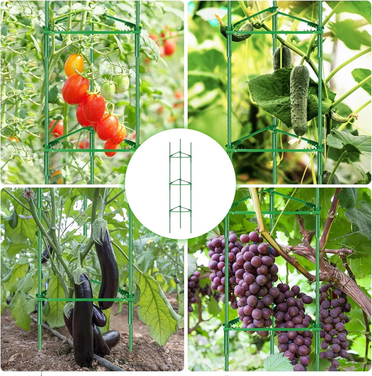 Tomatenclips voor Klimplanten zoals Tomaten Tomatenclips voor Klimplanten zoals Tomaten