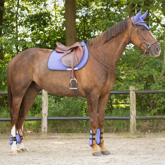 Bruin paard met zadeldek, oornetje en beenbeschermers in paars. Zadelbruin