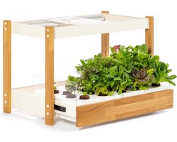 The Click & Grow 25 smartgarden