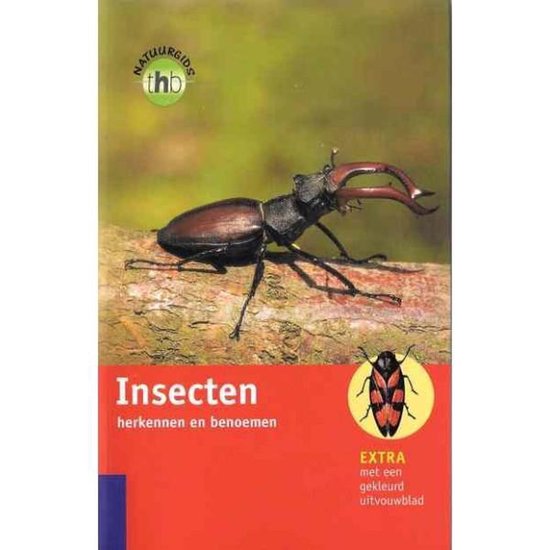 Voorpagina van de natuur gids 'Insecten herkennen en benoemen' met een hertkever op een tak. Rechtsonder een kleine afbeelding van een kever en de tekst 'EXTRA met een gekleurd uitvouwblad'.