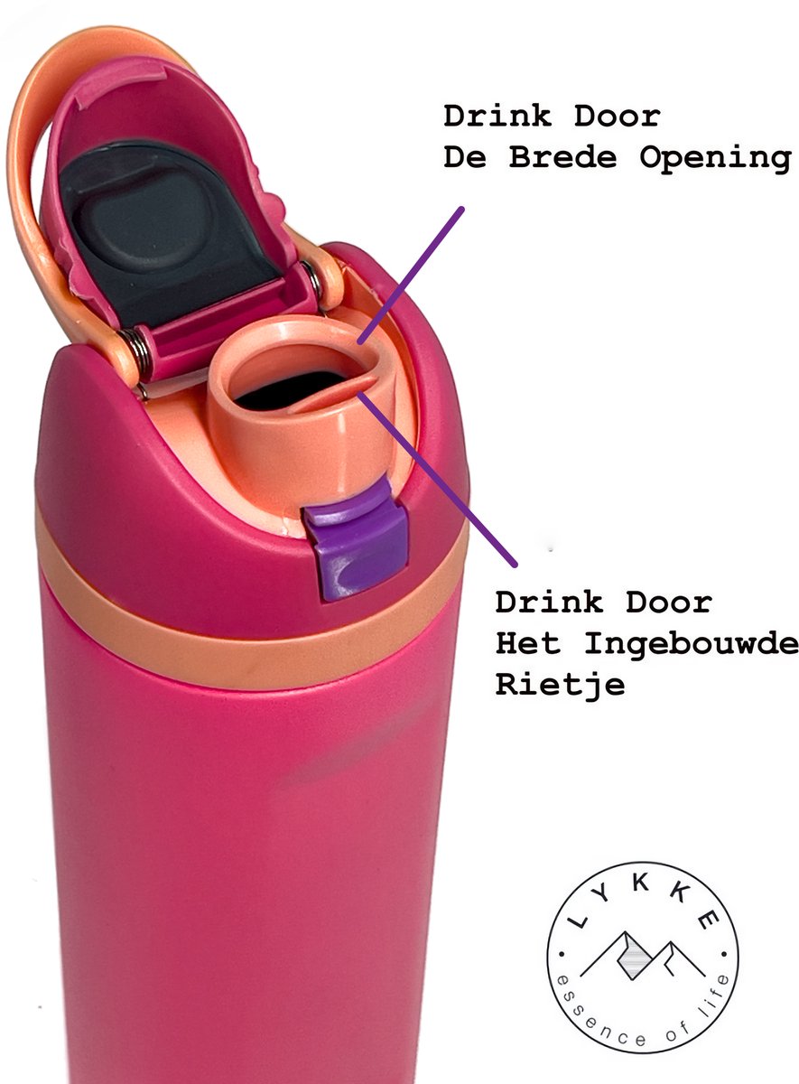 LYKKE® Freesip Lekvrij Thermos Beker 3 Laagse Thermos Beker Geïsoleerde RVS-fles met rietje voor sport, reizen en school BPA-vrije sportwaterfles, 24 oz, 720 ML, Roze (Flamingo Pink) thumbnail 2