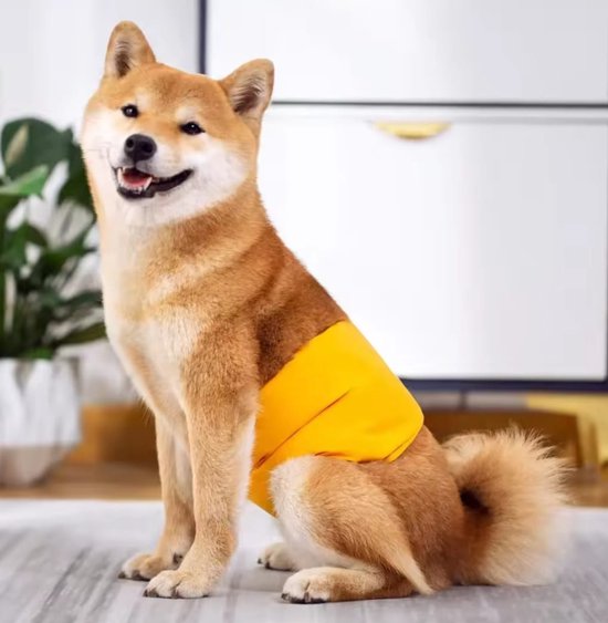 Avont 3 stuks herbruikbare hondenluiers, buikband voor honden voor incontinentie, wasbaar en milieuvriendelijk, voor honden, reedweven, ster, gestreept