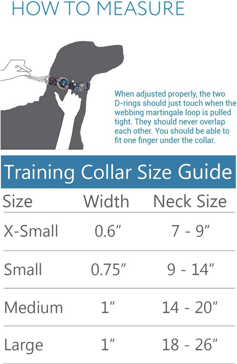Martingale Trainingshalsband 1" - Medium, Zwart Keperstof, Perfect voor Training en Wandelen