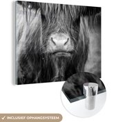 MuchoWow® Tableau sur verre 40x30 cm - Tableau acrylique sur verre - Highlander écossais - Vache - Zwart - Wit - Animaux - Photo sur verre - Décoration murale salon - Décoration murale chambre - Peintures