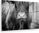 MuchoWow® Peinture sur verre 60x40 cm - Peinture sur verre acrylique - Highlander écossais - Vache - Zwart - Wit - Animaux - Photo sur verre - Peintures