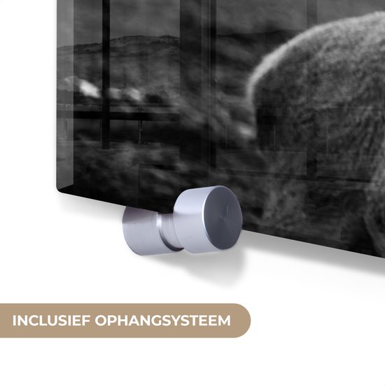 Tableau sur verre - Photo sur verre - Animaux - Cerf - Bois - Forêt - Nature - 120x60 cm - Verre acrylique - Décoration murale verre - Tableau sur verre cerf - Tableau sur verre animaux - Décoration d'intérieur